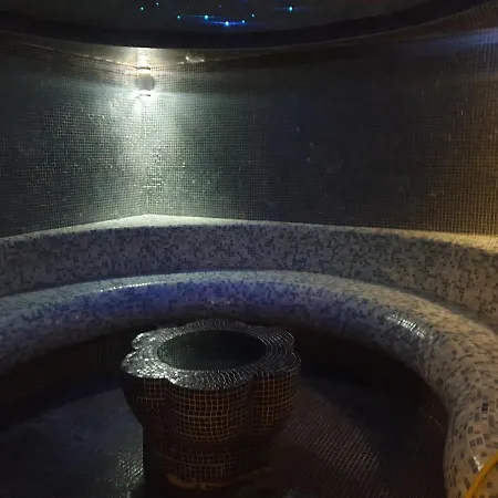 Sofy Kraljevi Cardaci