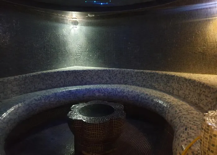 Sofy Kraljevi Cardaci